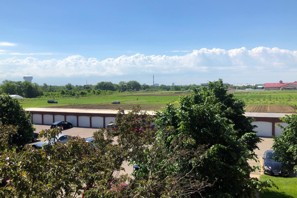 Falcon View Apartments Falcon View Apartments